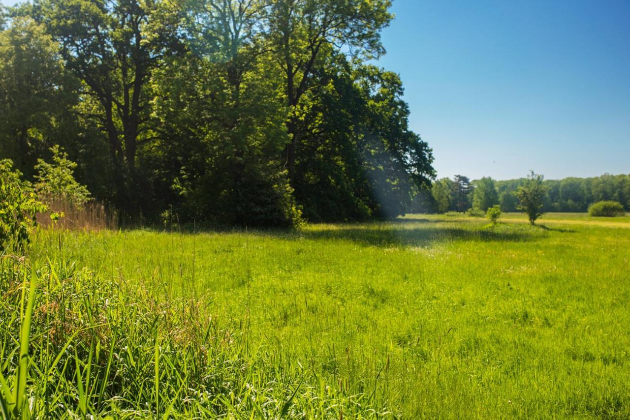 Palac Krobielowice Kąty Wrocławskie Esterno foto