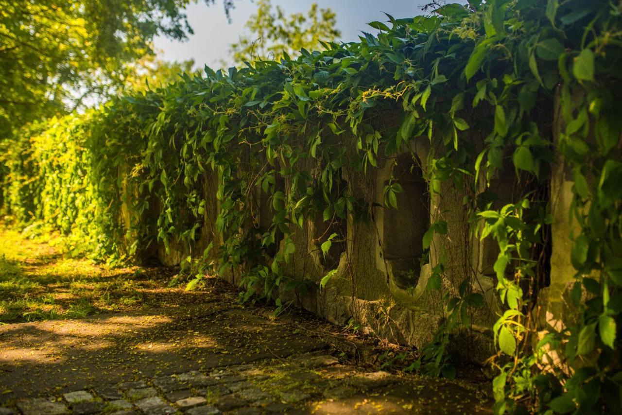 Palac Krobielowice Kąty Wrocławskie Esterno foto